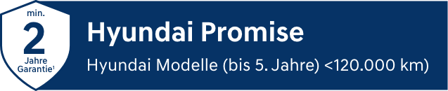 Hyundai Promise